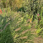 וילה Hameau Fleuri Pierrefitte-en-Auge