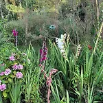 Hameau Fleuri Pierrefitte-en-Auge