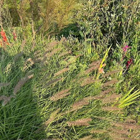Villa Hameau Fleuri Pierrefitte-en-Auge