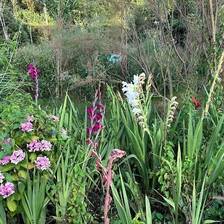 Hameau Fleuri Pierrefitte-en-Auge