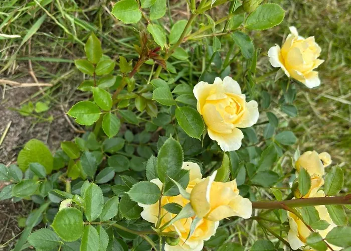 Hameau Fleuri Βίλα