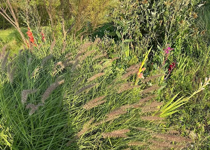 Βίλα Hameau Fleuri Pierrefitte-en-Auge