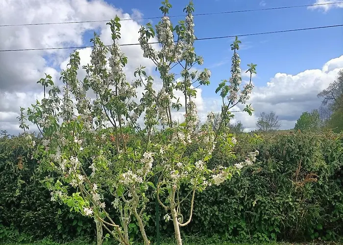 Hameau Fleuri * Pierrefitte-en-Auge
