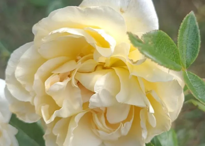 Hameau Fleuri Βίλα